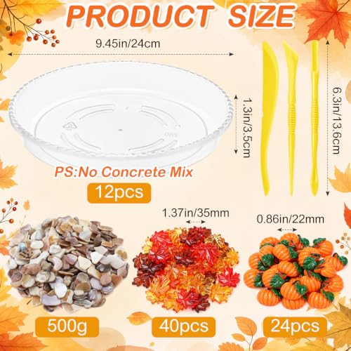 12 Kit DIY Stepping Stone Mold 10 Inch for Garden (12 Count)