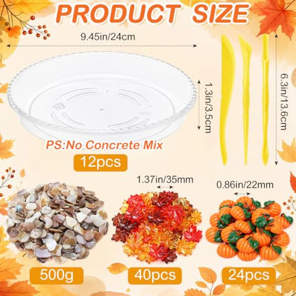 12 Kit DIY Stepping Stone Mold 10 Inch for Garden (12 Count)