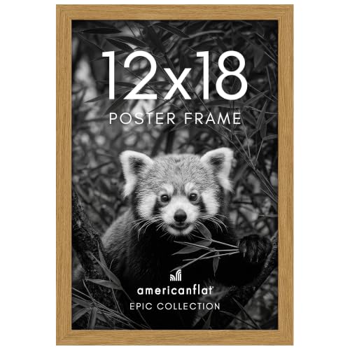 12x18 Poster Frame