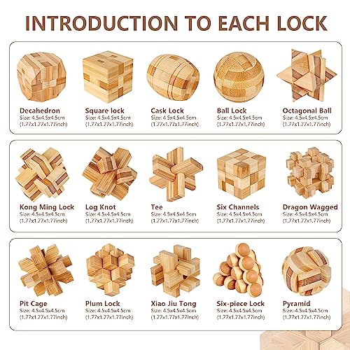 15pcs Wooden Brain Teaser Puzzles (15 Count)