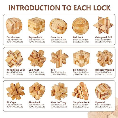 15pcs Wooden Brain Teaser Puzzles (15 Count)