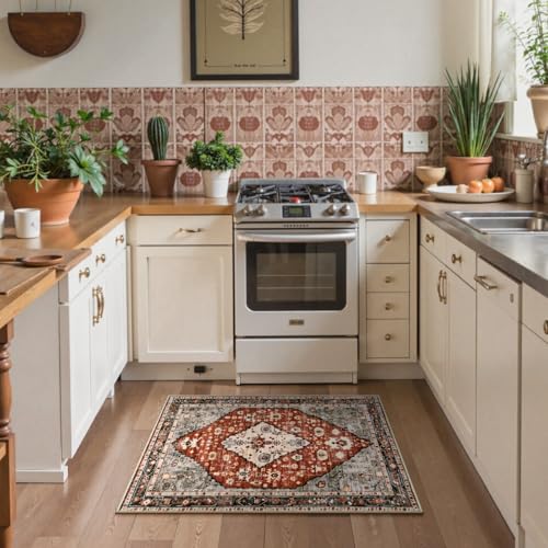 Felice Boho Tribal Area Rug
