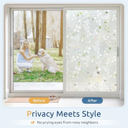 Window Privacy Film (25.83 Sq Ft)