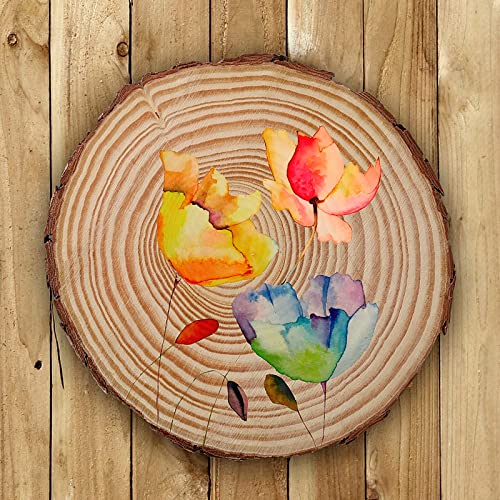 10 PCS 6.7 7 Inches Natural Unfinished Wood Slices (10 Count)