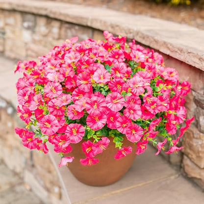 Fake Plants Artificial Flowers for Outdoor Outside Decor (12 Count)