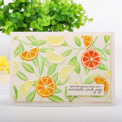 3D Embossing Folders Lemon Textured for Card Making