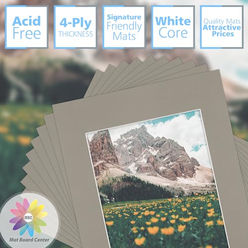 Mat Board Center 10 Pack 11x14 Photo Mats for 8x10 Picture (10 Count)