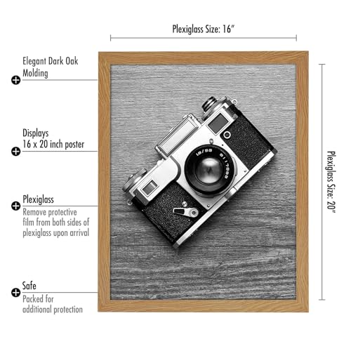 16x20 Poster Frame