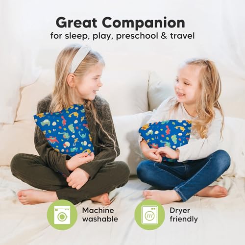 Mini Toddler Pillow with Pillowcase