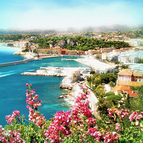 Extra Fine Oil Paint (2.03 Fl Oz)