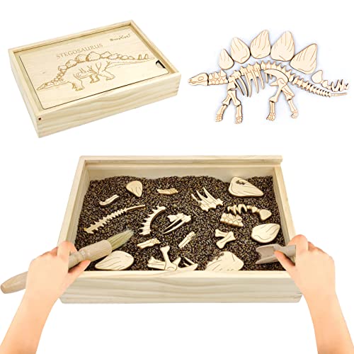 Dinosaur Excavation Archaeology Dig Kit for Kids