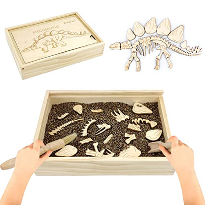 Dinosaur Excavation Archaeology Dig Kit for Kids