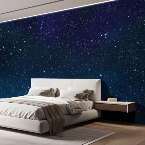 Wall Sticker Wall Mural Beautiful Scenery of The Starry Night