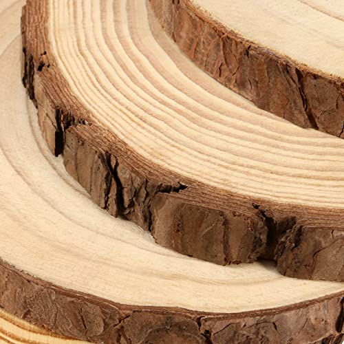 8 PCS 7 7.9 Inches Natural Unfinished Wood Slices (8 Count)
