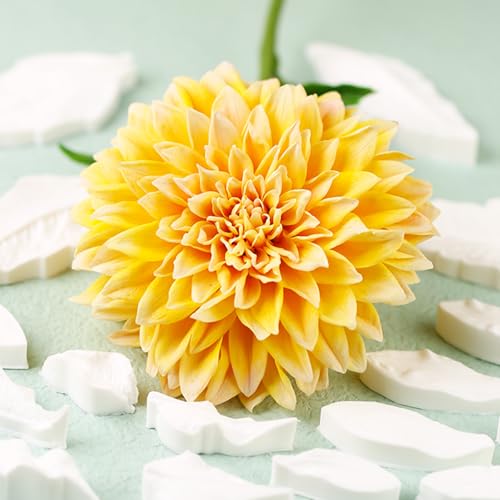 Professional Flower Fondant Mold Set
