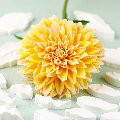 Professional Flower Fondant Mold Set