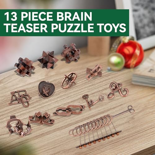 Brain Teaser Puzzles for Adults Teens Kids (13 Count)