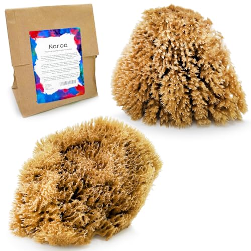 Natural Artist Sea Sponges for Painting 2 Pack (2 Count)