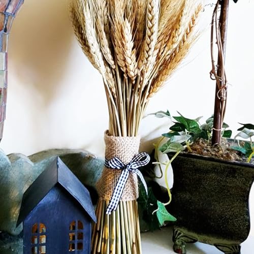 6 Inch Wide 11 Yards Burlap Ribbon