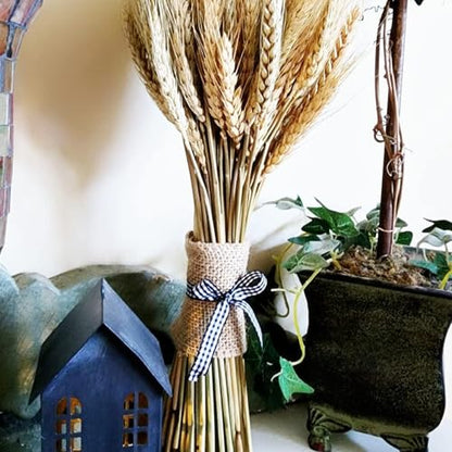 6 Inch Wide 11 Yards Burlap Ribbon