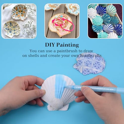 30PCS Scallop Shells for Crafts 2'' (30 Count)