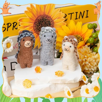 Needle Felting Kit