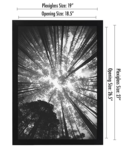 19x27 Poster Frame