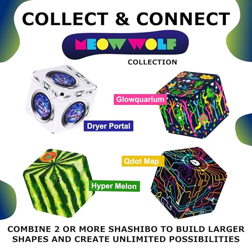 DODECA Magnetic Puzzle Cube