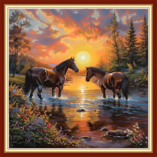 Cross Stitch Kits for Beginners Stamped Cross