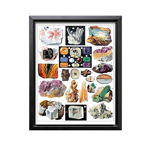 Vintage Geology Canvas