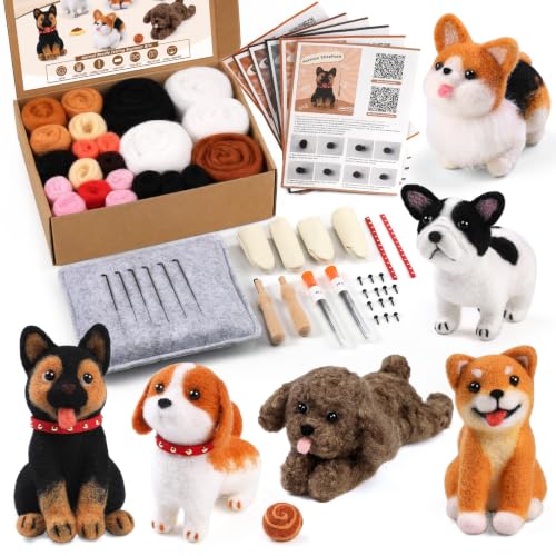 6 Pcs Needle Felting Kit