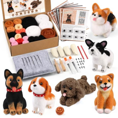 6 Pcs Needle Felting Kit