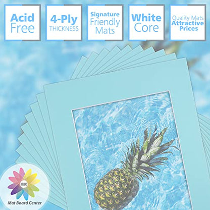 Mat Board Center 10 Pack 11x14 Photo Mats for 8x10 Picture (10 Count)