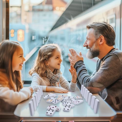Double Six Dominoes Set