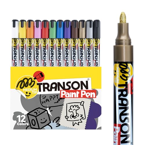 12 Colors Permanent Fabric Markers Oil Based Waterproof for Rocks Crafts Diy Painting Medium Tip (12 Count)