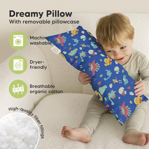 Toddler Pillow with Pillowcase