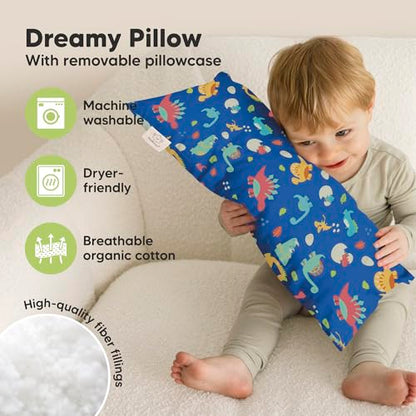 Toddler Pillow with Pillowcase