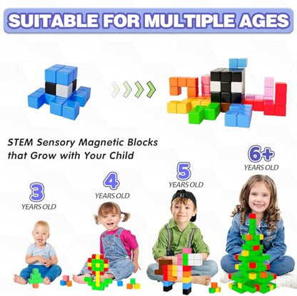 81pcs Magnetic Blocks (81 Count)