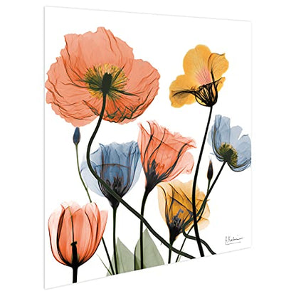 Frameless Free Floating Tempered Glass Panel Graphic Wall Art Ready to Hang