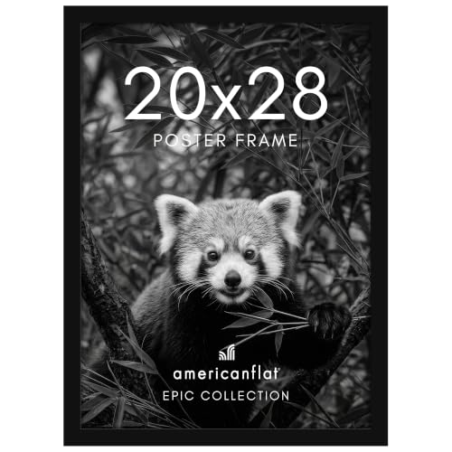 20x28 Poster Frame