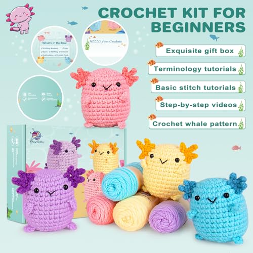 Crochet Kit for Beginners