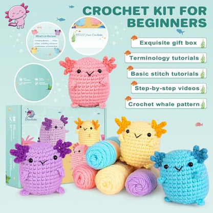 Crochet Kit for Beginners