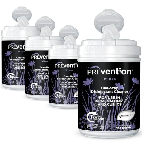 Wipes – Multi-Surface Cleaning Wipes for Everyday Use – Canister, 160 Count (Pack of 4) (640 Count)
