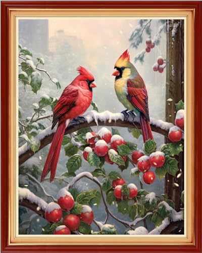 Cross Stitch Kits Stamped Full Range of Embroidery Starter Kits for Beginners Adult DIY 11CT