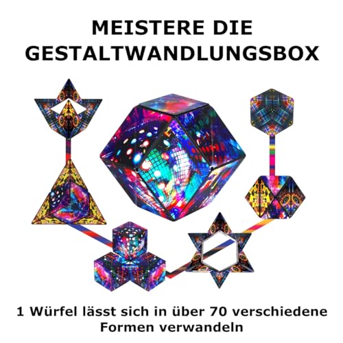 DODECA Magnetic Puzzle Cube