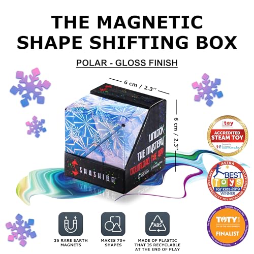 DODECA Magnetic Puzzle Cube