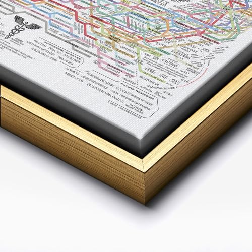 The Healing Web Canvas