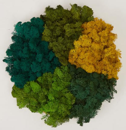 Preserved Reindeer Mix Craft Moss Natural Green DIY Kit Gardenning Art Wall Decor Florist Easter Table Decor Wedding Decor