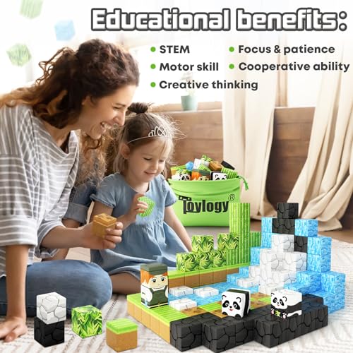 Magnetic Blocks (70 count)