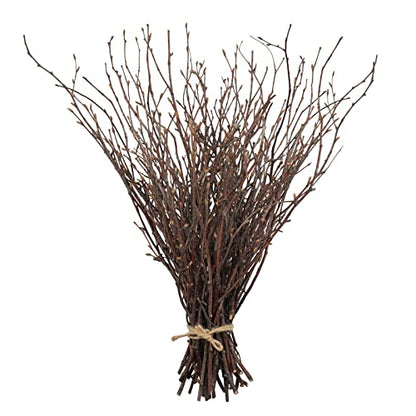 50PCS Birch Twigs (50 Count)